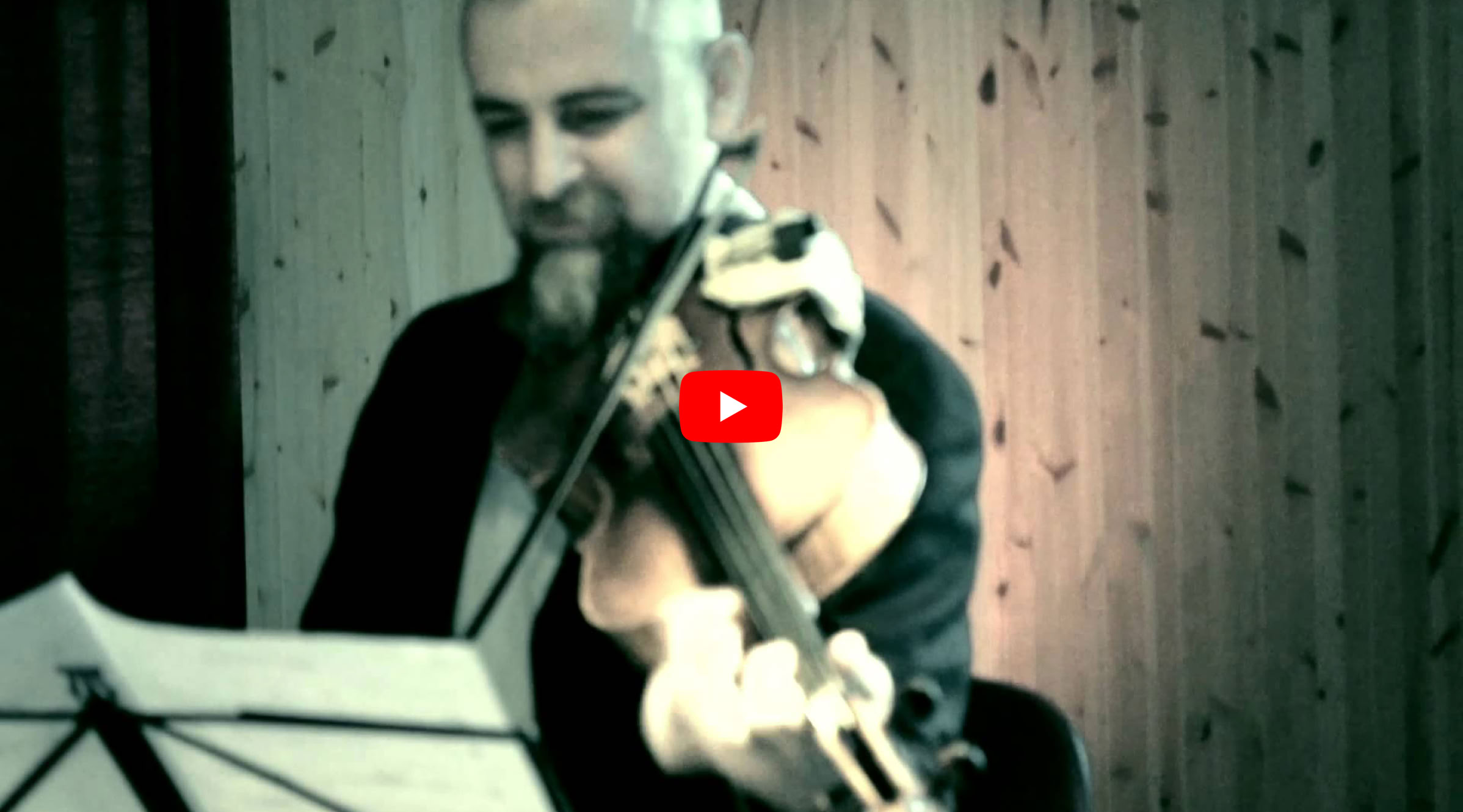 Video Video abspielen